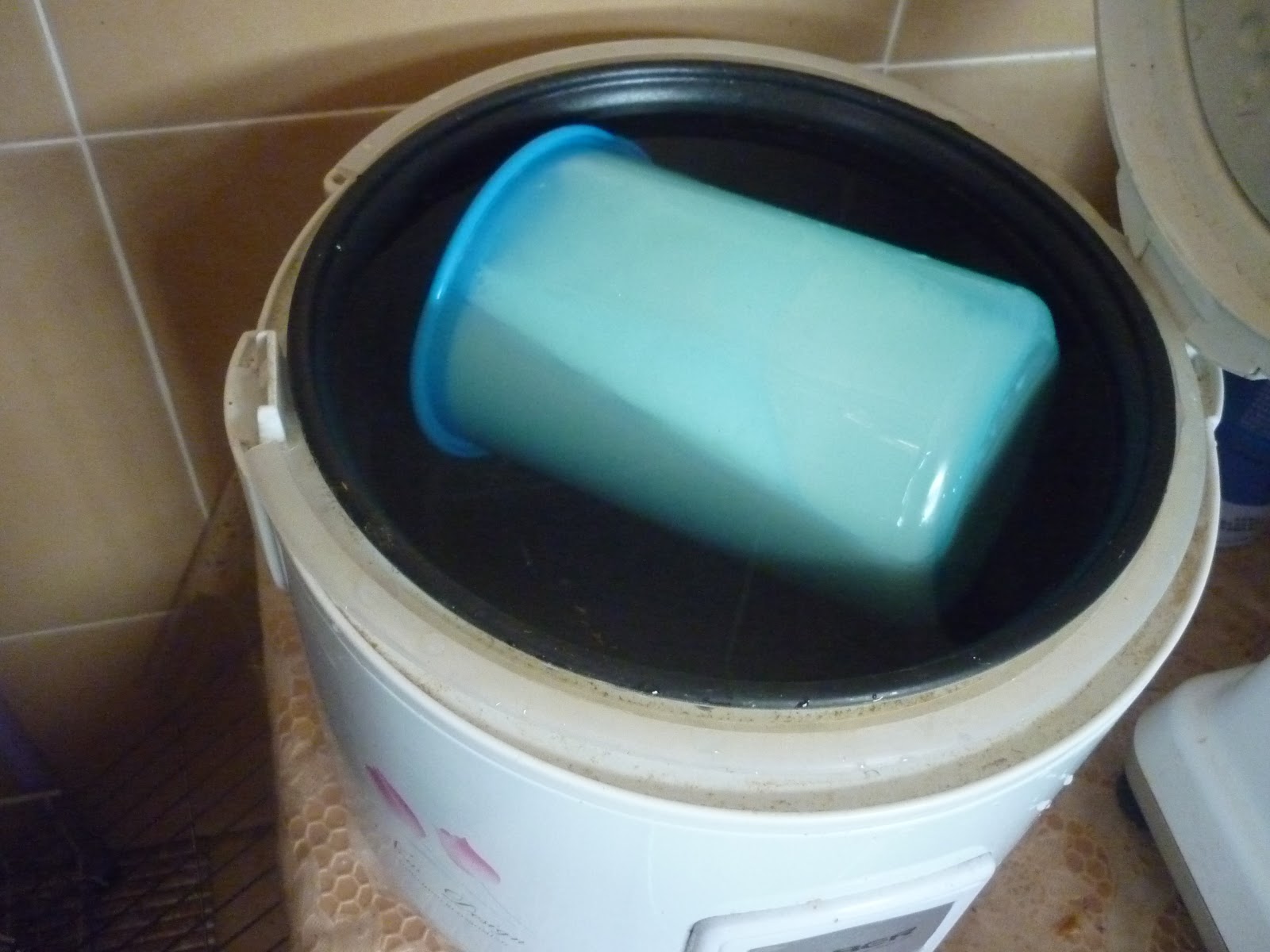 The Road Not Taken How to make Yogurt! (using the ricecooker)