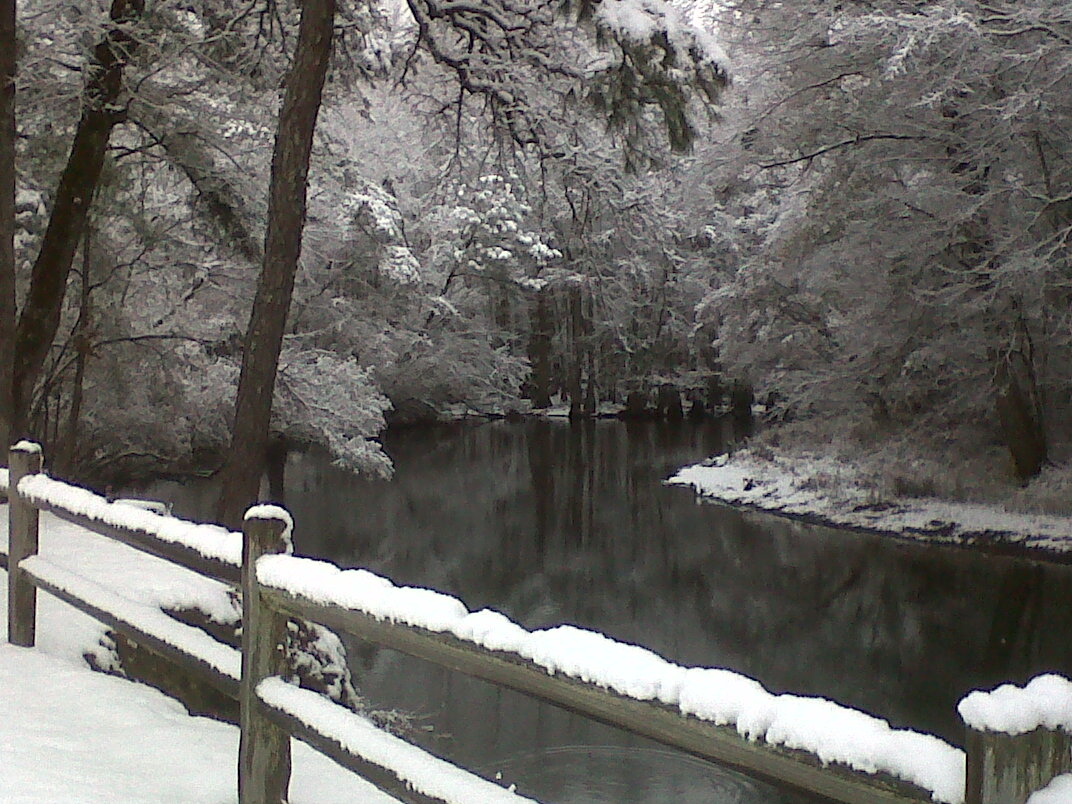 Lumber River State Park Chalk Banks New Fallen Snow