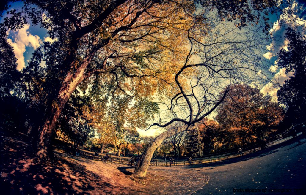 2880x1800 Retina Wallpaper Autumn by PeterKruczek on DeviantArt 2880x1800 Retina Wallpaper Autumn by PeterKruczek on DeviantArt