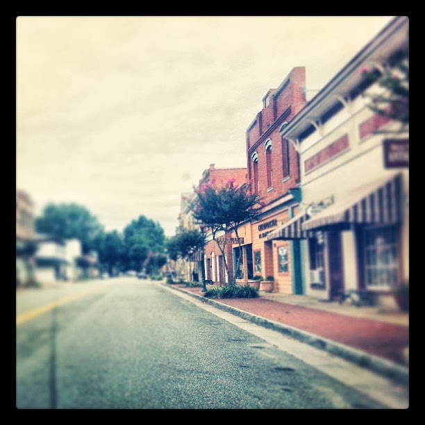 foobella designs A View of West Point, Virignia 2