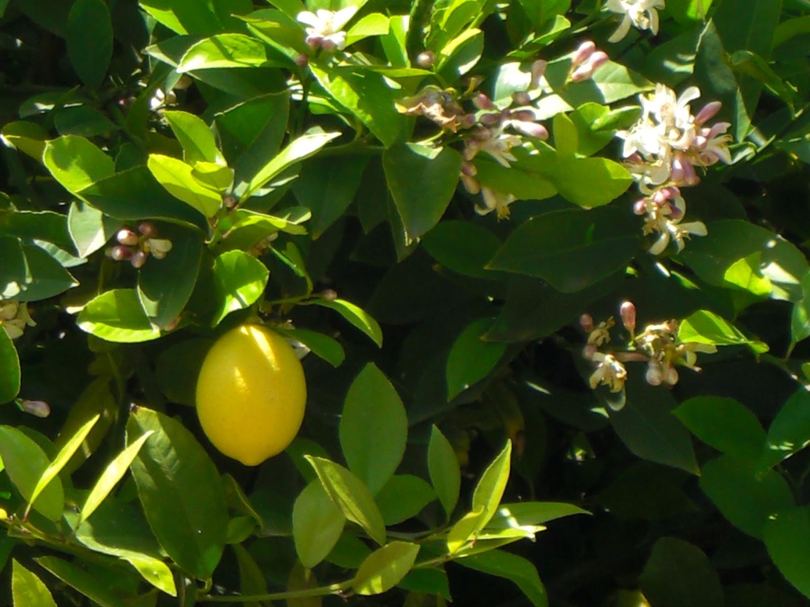 Bernd Weidenauer Mehr Karikaturen Als Geschenk More Commission Work