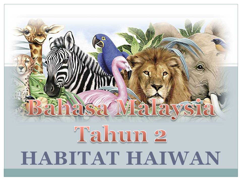 Bahasa Malaysia Tahap Satu Bahasa Malaysia Habitat Haiwan