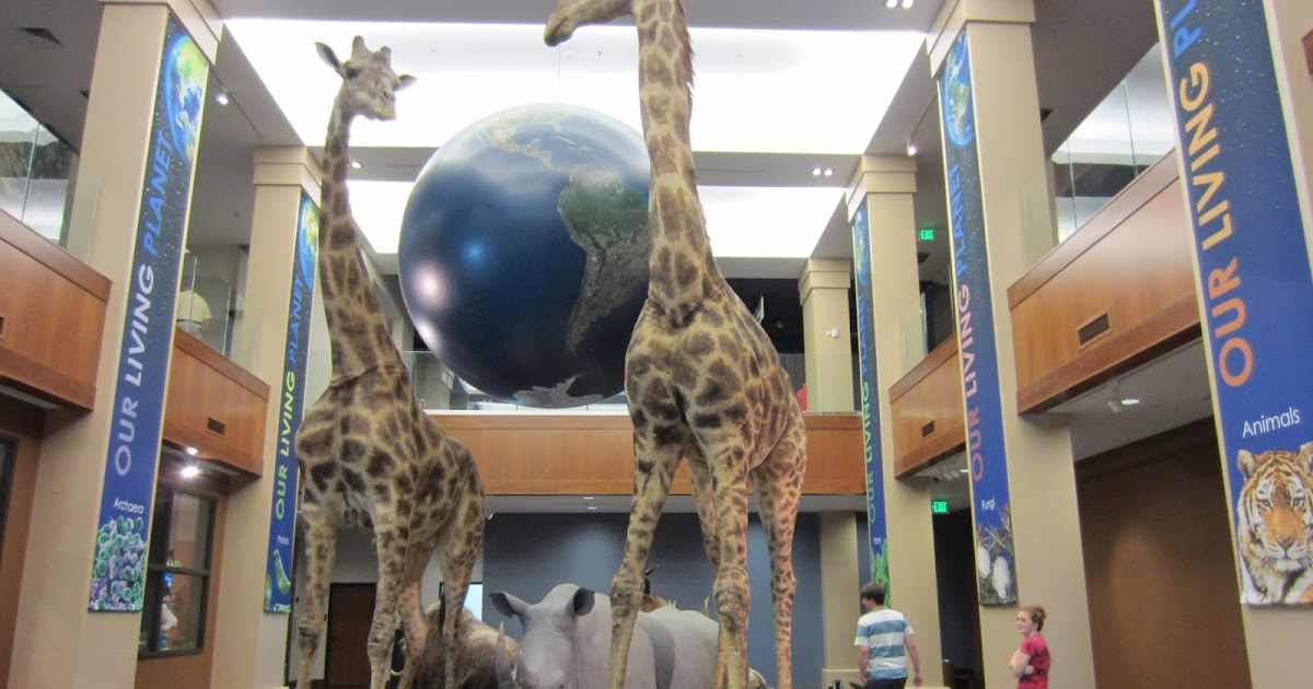 Jana's Place The Monte L. Bean Life Science Museum Part 1