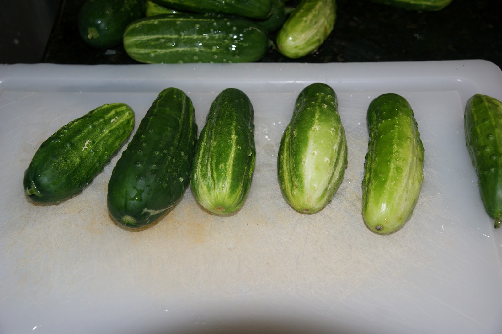 Living For Today Sweet Pickle Spears