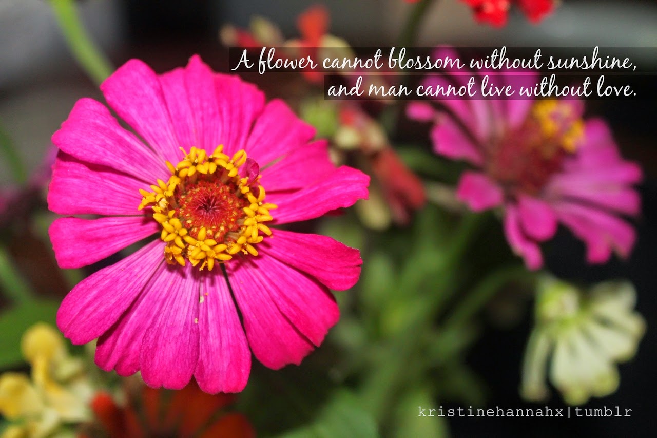 Quotes About Receiving Flowers. QuotesGram