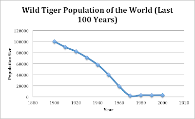WHITE TIGER