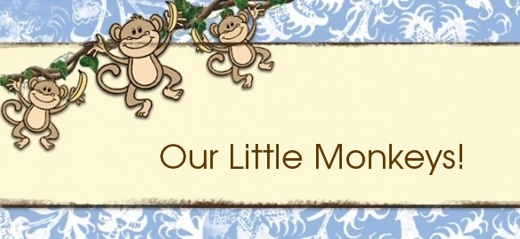 Our Little Monkeys