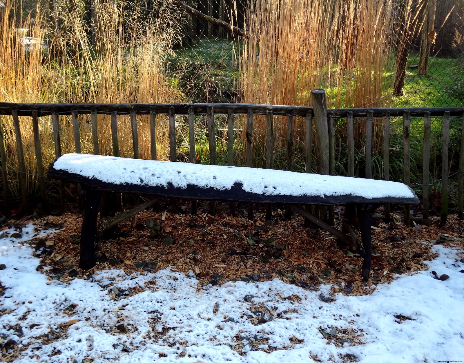 Snow Covered Benches Snow Covered Benches