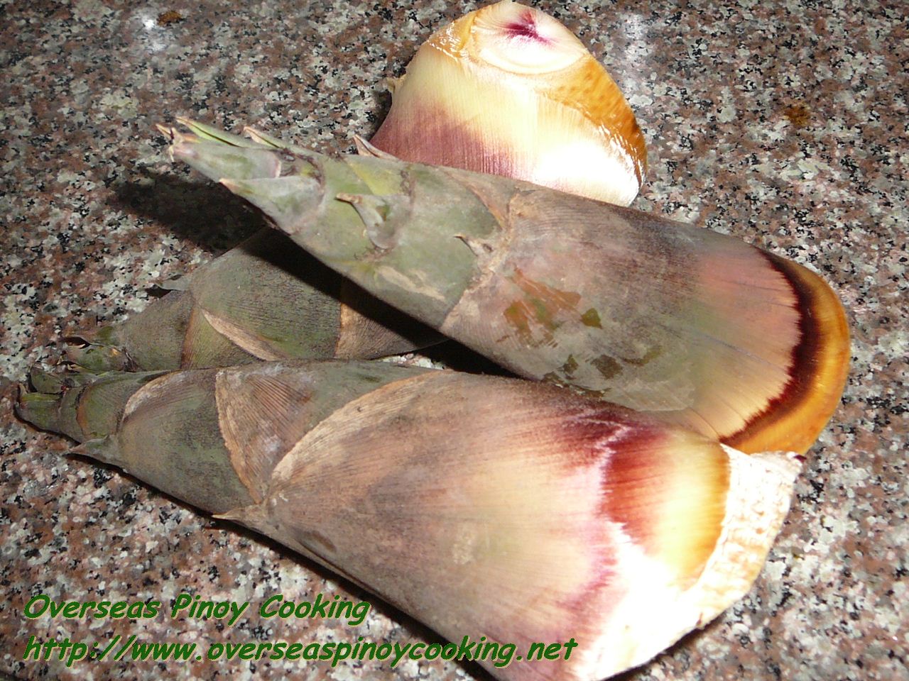 Sautéed Ilocano Vegetables with Ground Pork Filipino Recipe