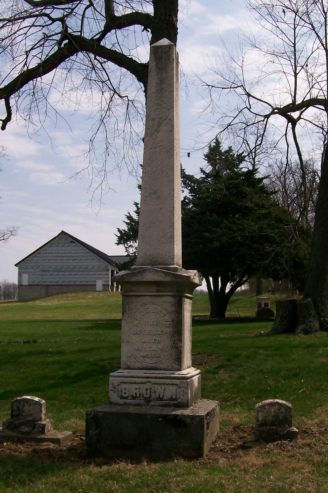 Graveyard Rabbit of Sandusky Bay Old Presbyterian Cemetery in Apple