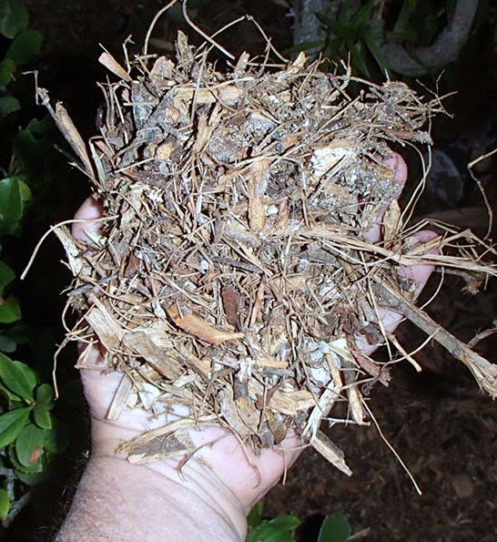 Xtremehorticulture of the Desert Prevent Roaches from Mulches Entering