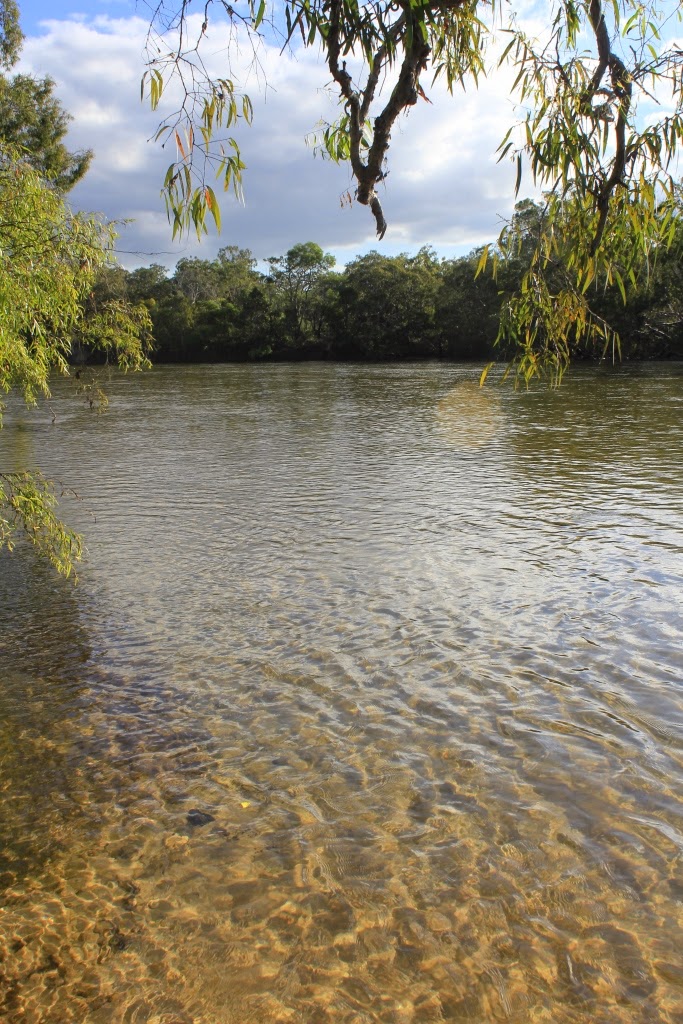 Beautiful clear water - Jardine River Beautiful clear water - Jardine River
