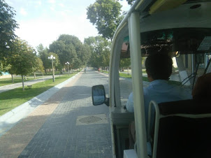View from the Tourist buggy of plush evergreen Karimov Street .