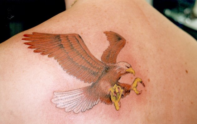 Similar is the case with Eagle Tattoos These are done by people because of