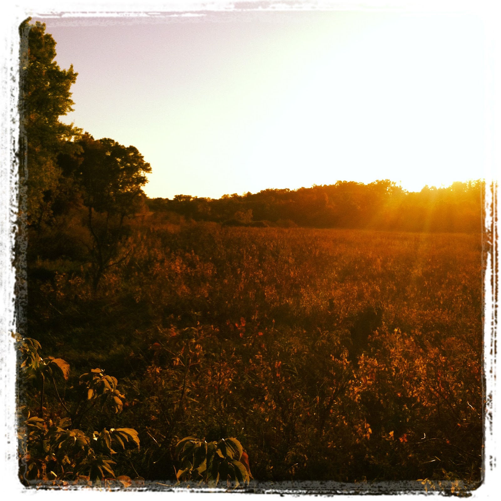 Madison Bike Life Featured Bike Ride Route New Glarus