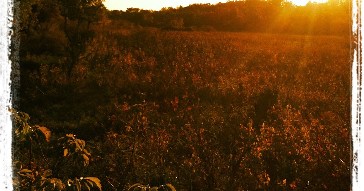 Madison Bike Life Featured Bike Ride Route New Glarus