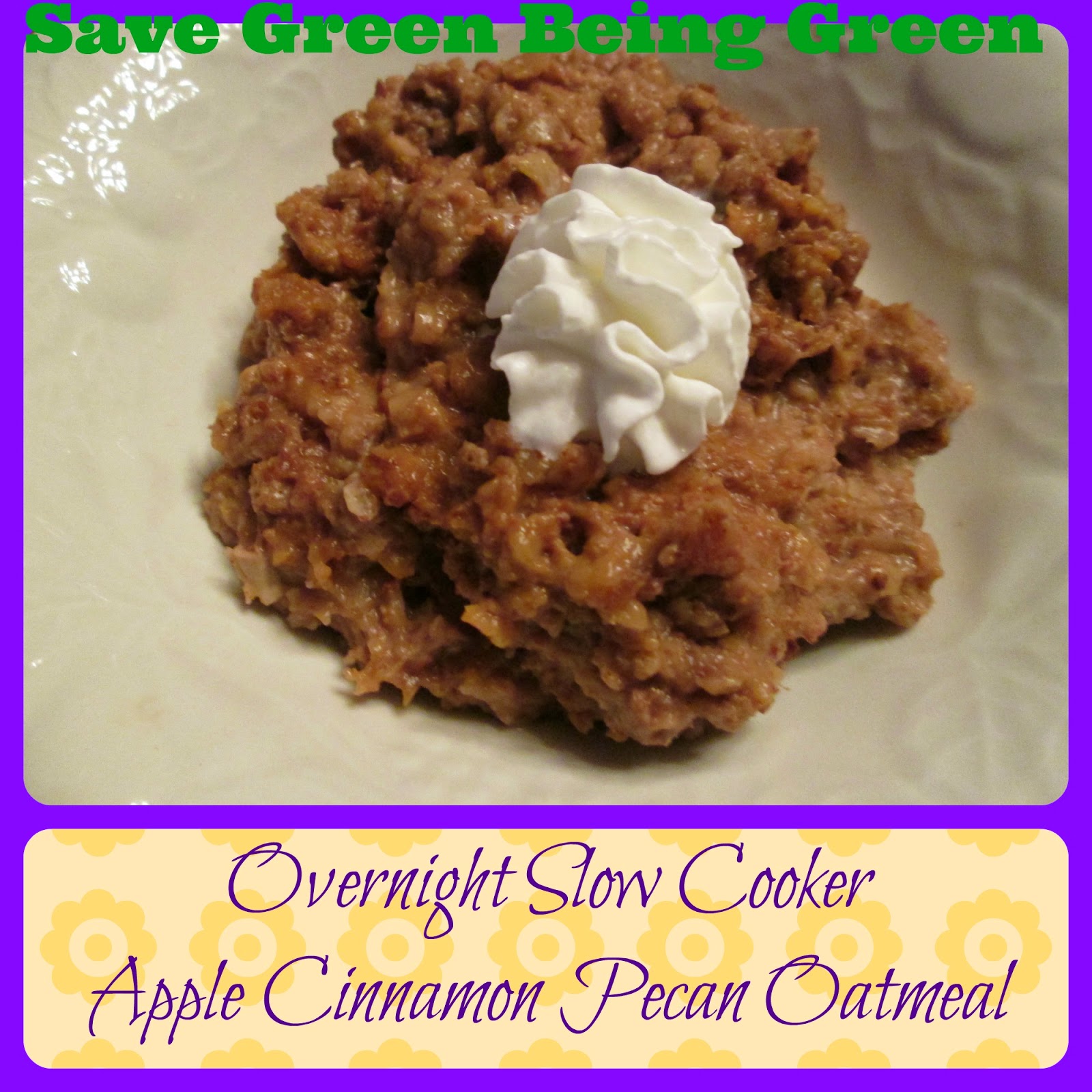 Save Green Being Green Overnight Slow Cooker Apple Cinnamon Oatmeal