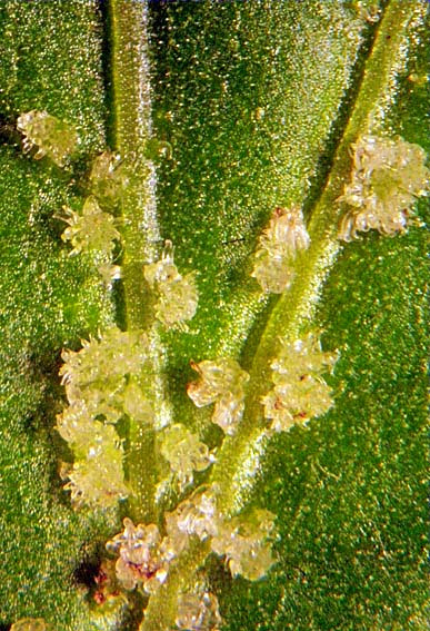 Beyond the Human Eye