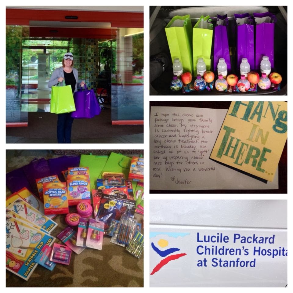 Abby's Purple Bag Project