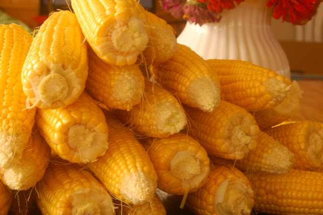 Kernels Of Corn