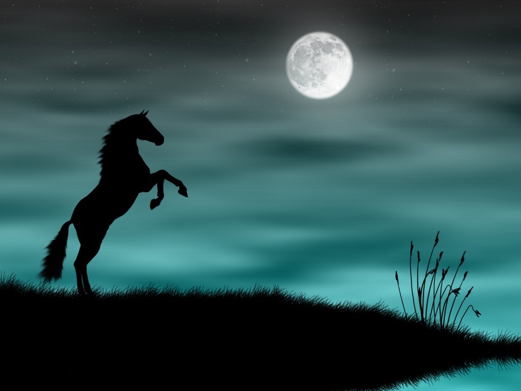 http://3.bp.blogspot.com/-1VEhxVDPYJc/Ti_yjsLMWhI/AAAAAAAAAzg/u22xgFmT4tE/s1600/wild-horse-silhouette-in-a-blue-moonlight.jpg