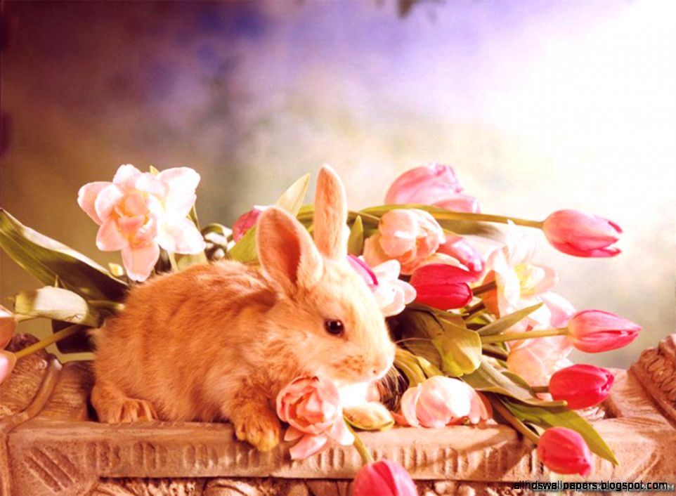 Beautiful Christian Easter Desktop Wallpaper Beautiful Christian Easter Desktop Wallpaper