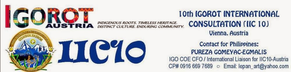 THE 10th IGO INTERNATIONAL CONSULTATION ~ IIC10