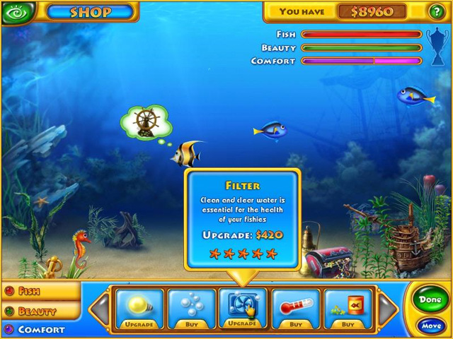 Betta Fish With Other Fish Aquatic Experience of Aquarium Fish Screensaver