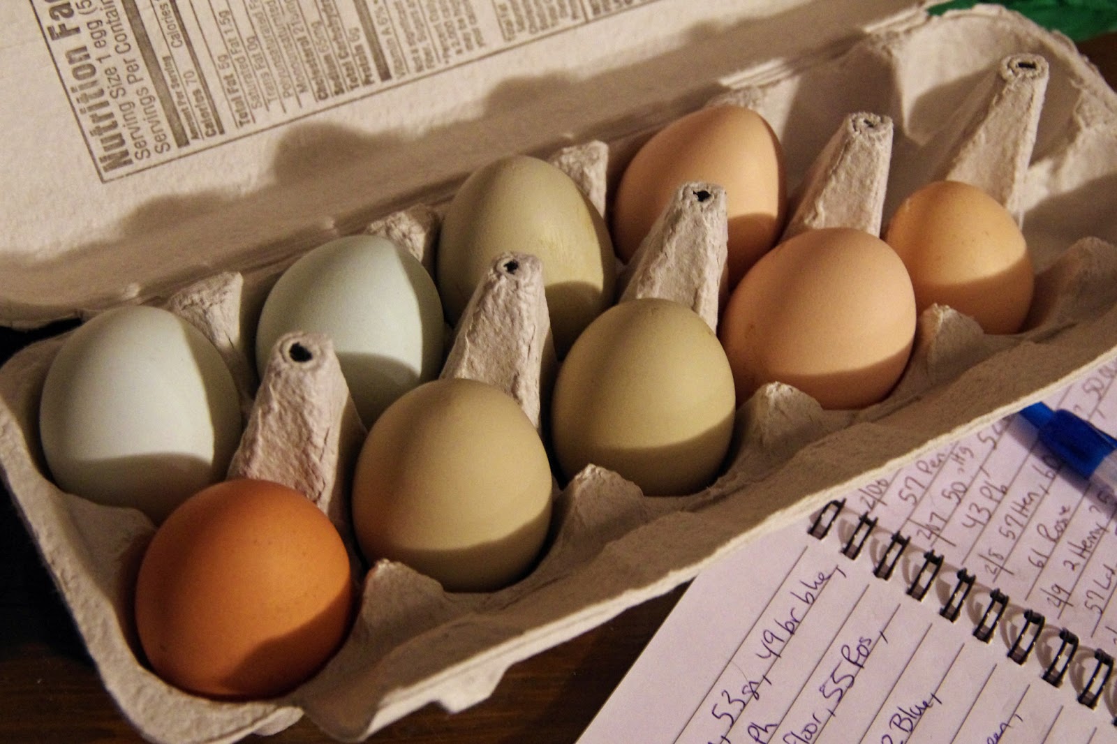 How to Sell Hatching Eggs Community Chickens