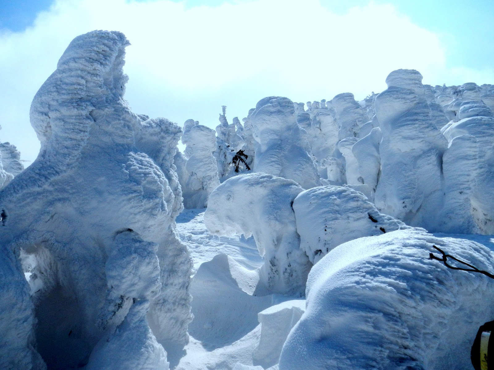 Adventures in Yokosuka Zao Onsen Ice Monsters