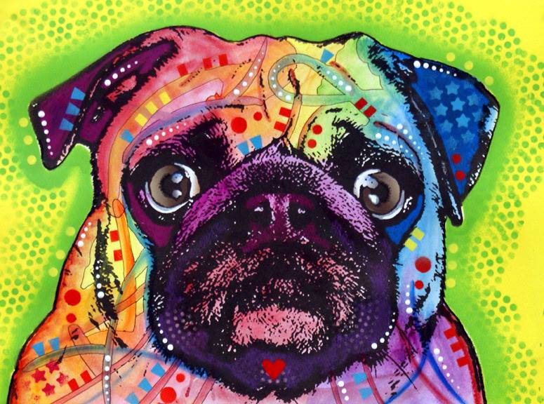 dean russo pug image gallery russo dean russo pug image gallery russo