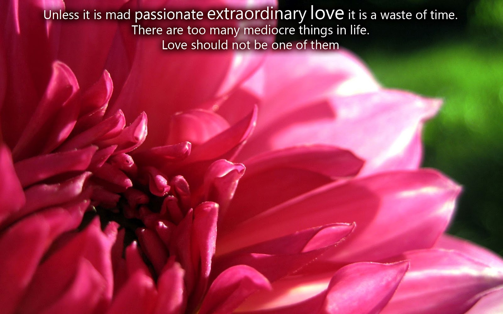 Passionate Love Quotes From Movies. QuotesGram