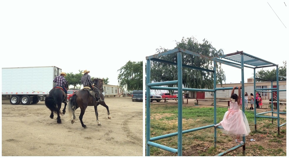 Grow Awry. Earlimart, CA.