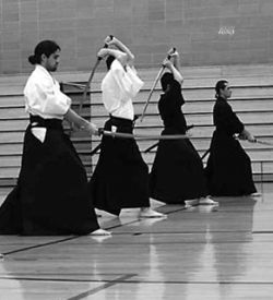 iaido guard stance iaido guard stance