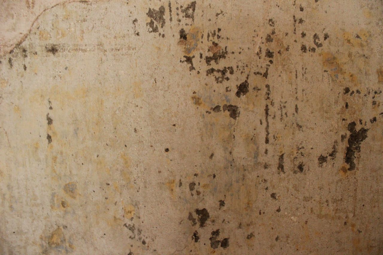 Afternibbin bare plaster walls