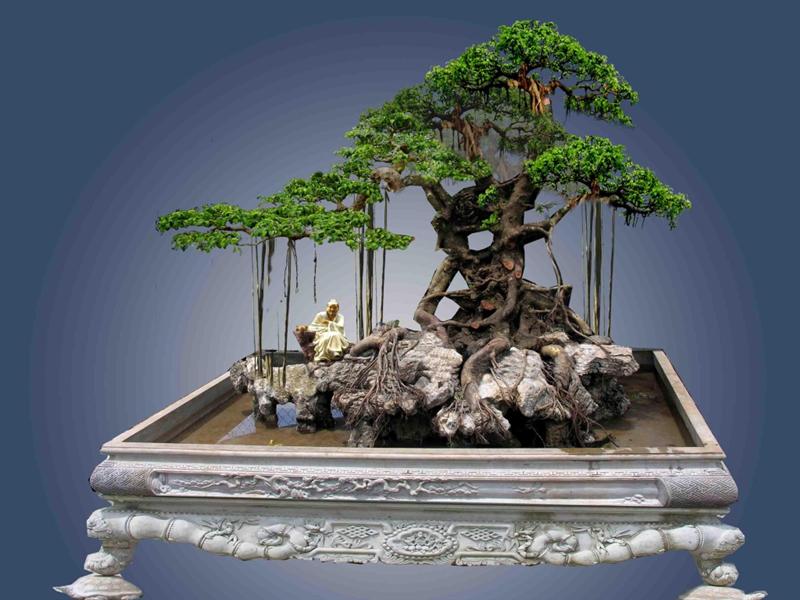 Cach+Tao+Cay+Thu+Muc Cach Tao Cay Thu Muc http://kythuatnuoitrong.blogspot.com/2012/04/ky ...