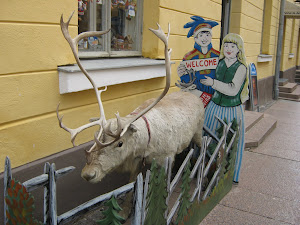 Taxidermy reindeer outside a tourist shop