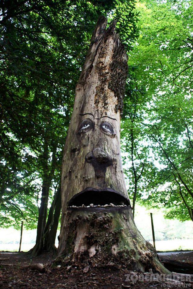 Painting eyes, faces and grimaces on the trees, by ornamenting and dressing them we emphasize our close and unique connection with nature.