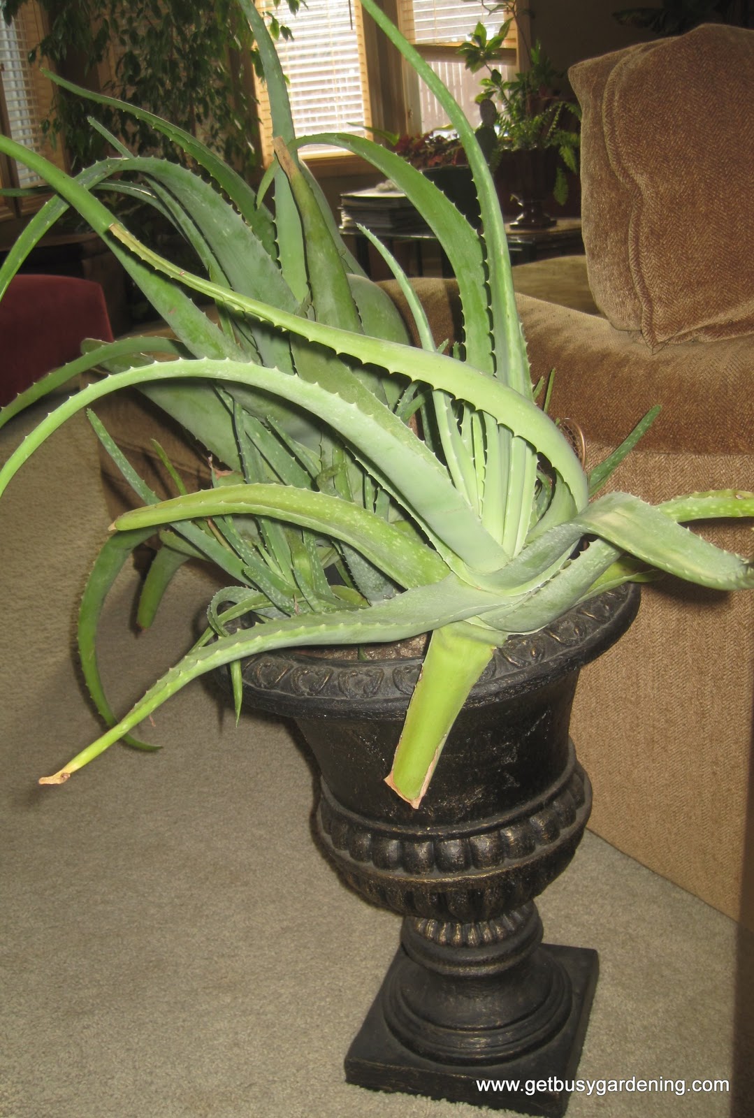 301 Moved Permanently