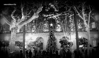 naturaldesevilla: Oh, triste Navidad
