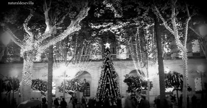 naturaldesevilla: Oh, triste Navidad