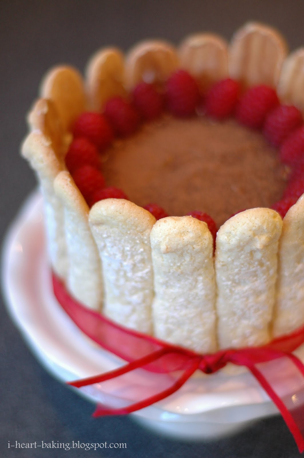 i heart baking! coffee chiffon charlotte with homemade lady fingers