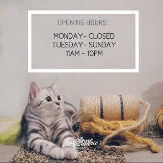 PURRFECT PLACE CAT CAFE & STUDIO, TAIPAN INANAM PURRFECT PLACE CAT CAFE & STUDIO, TAIPAN INANAM, fees PURRFECT PLACE CAT CAFE & STUDIO, TAIPAN INANAM,