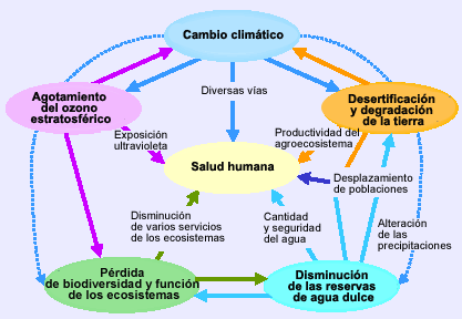 LA SALUD EN BOLIVIA la salud en bolivia: