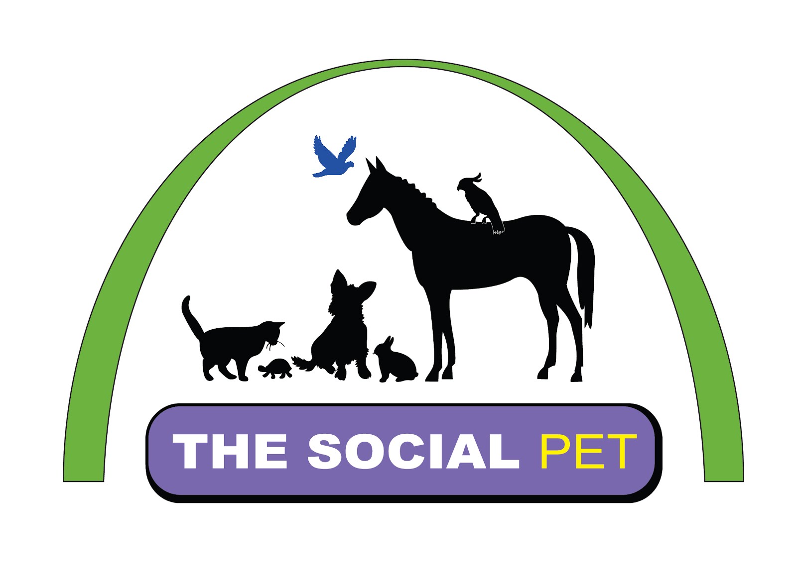 Click here to view The Social Pet