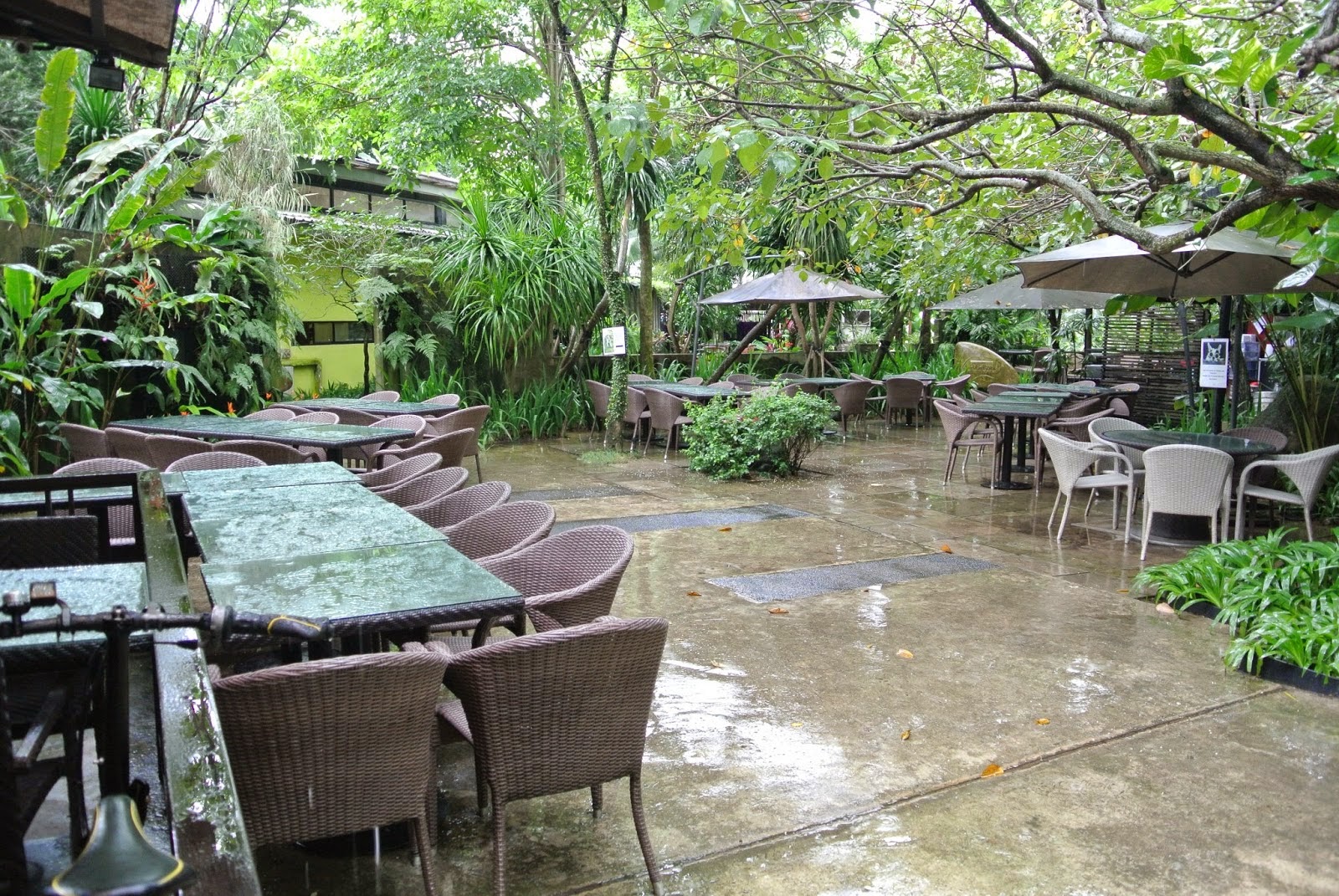 Cafe Review Canopy Garden Dining Bar