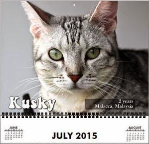 Kusky the July15 Model for Purrfect Youngsters - Lovecats Wall Calendar