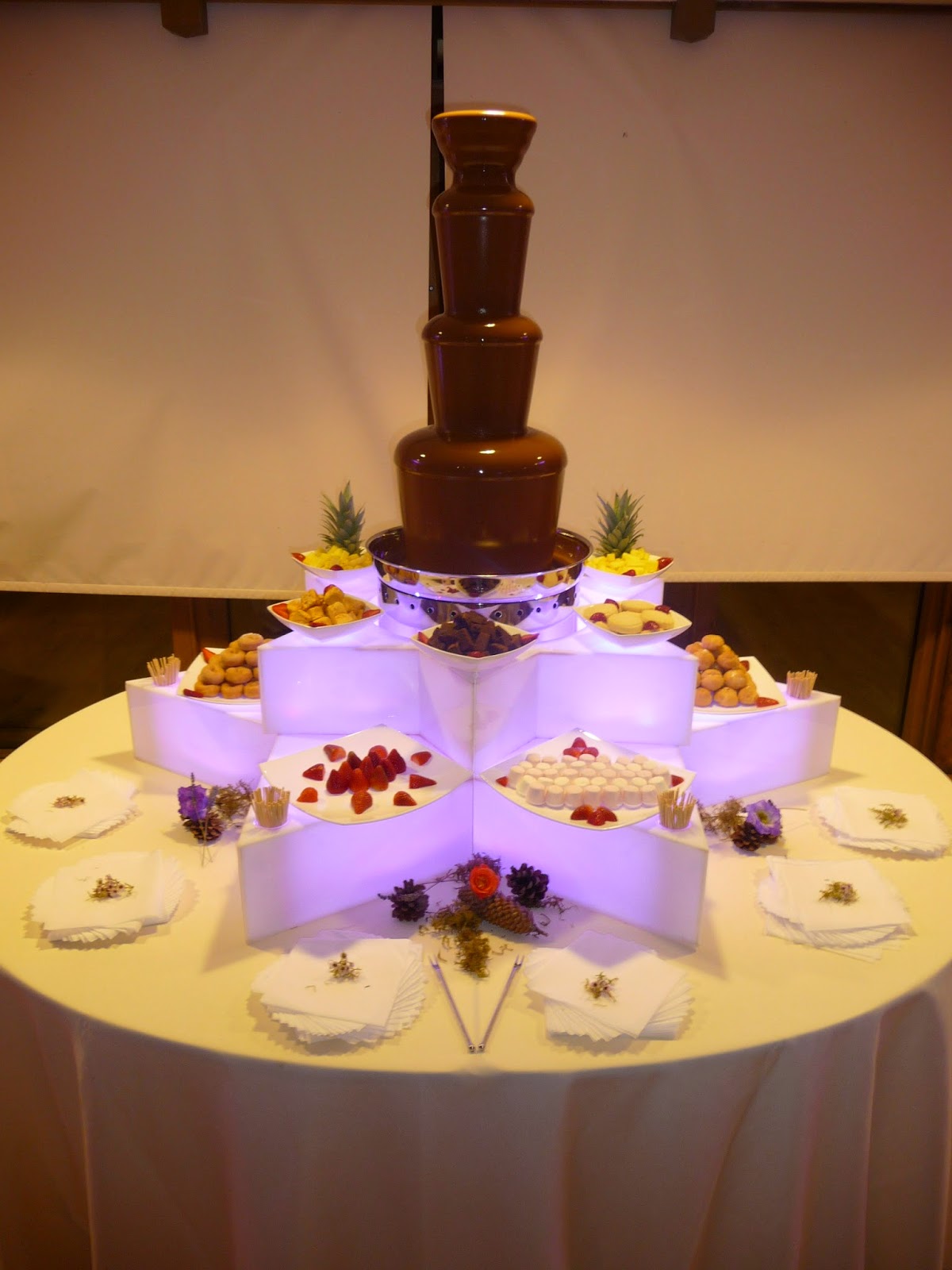 Our Chocolate Fountains... Hot Chocolates Blog