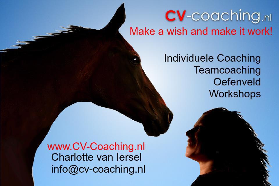 Charlotte van Iersel over CV-Coaching