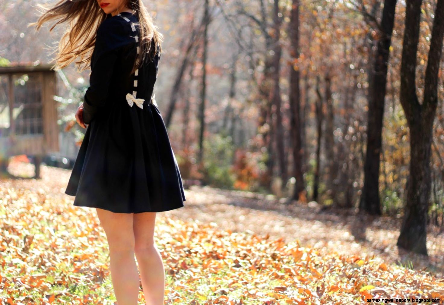 Tennessee Rose Autumn Leaves Falling Down Like Pieces Into Place Tennessee Rose Autumn Leaves Falling Down Like Pieces Into Place